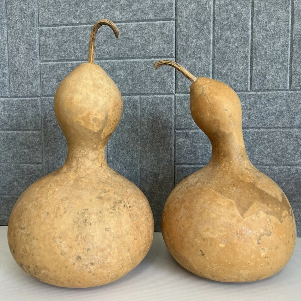 2 Natural Bottle Snowman Gourds Dried Cleaned Fall Decor Crafting